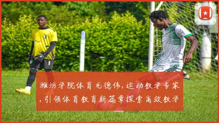 潍坊学院体育毛德伟,运动教学专家,引领体育教育新篇章探索高效教学方法