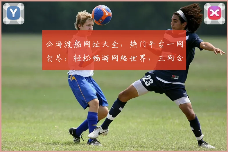 公海渡船网址大全，热门平台一网打尽，轻松畅游网络世界，三网合一，一站搞定