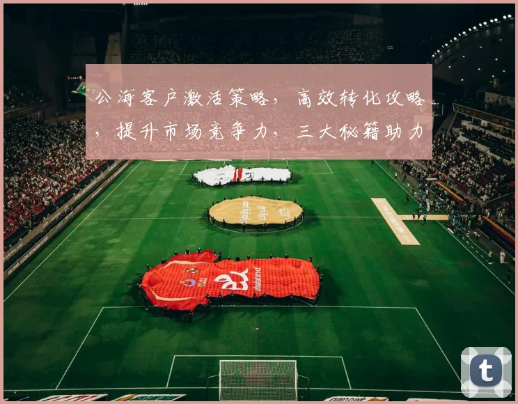 公海客户激活策略，高效转化攻略，提升市场竞争力，三大秘籍助力企业成长