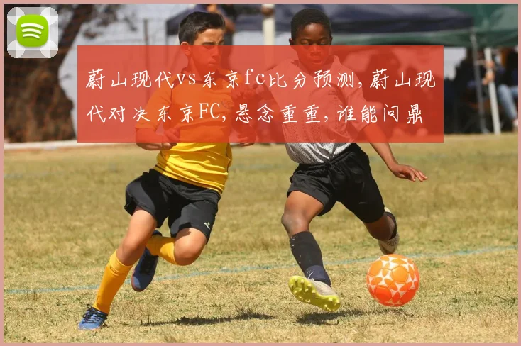 蔚山现代vs东京fc比分预测,蔚山现代对决东京FC,悬念重重,谁能问鼎